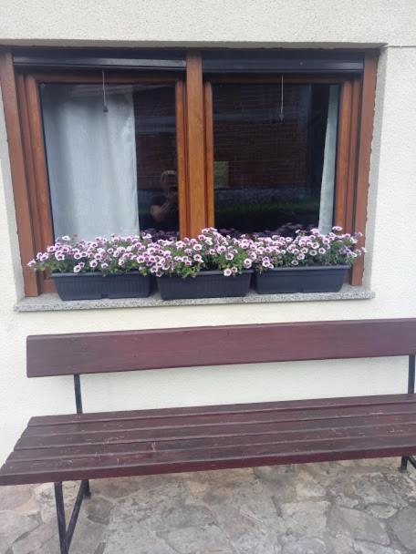 Guesthouse Marton Jezerce Exteriér fotografie