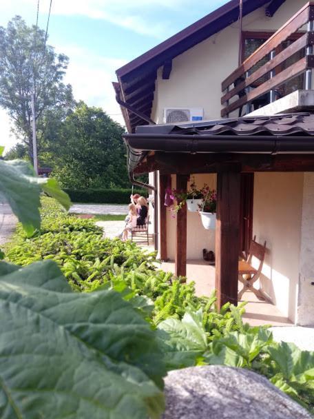 Guesthouse Marton Jezerce Exteriér fotografie